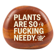 Rocks Are Jerks
