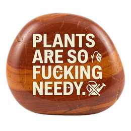 Rocks Are Jerks